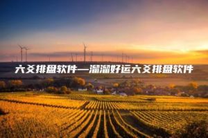 六爻排盘软件—溜溜好运六爻排盘软件 | ae插件合集