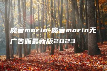 魔音morin-魔音morin无广告版最新版2023 | ae插件合集