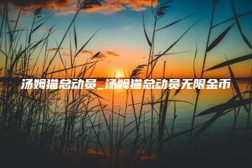 汤姆猫总动员_汤姆猫总动员无限金币 | ae插件合集