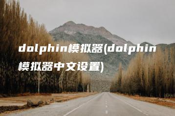 dolphin模拟器(dolphin模拟器中文设置) | ae插件合集