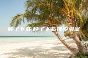 种子下载,种子下载搜索引擎 | ae插件合集