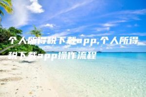 个人所得税下载app,个人所得税下载app操作流程 | ae插件合集