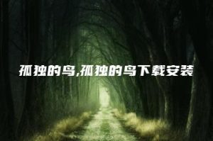孤独的鸟,孤独的鸟下载安装 | ae插件合集