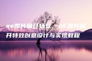 ae图片展开特效、AE图片展开特效创意设计与实现教程 | ae插件合集