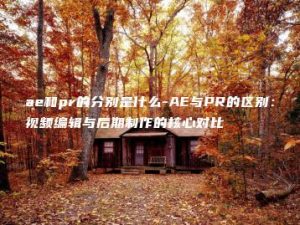 ae和pr的分别是什么-AE与PR的区别：视频编辑与后期制作的核心对比 | ae插件合集