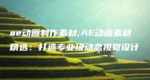 ae动画制作素材;AE动画素材精选：打造专业级动态视觉设计 | ae插件合集