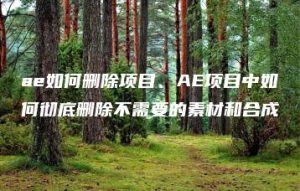 ae如何删除项目、AE项目中如何彻底删除不需要的素材和合成 | ae插件合集