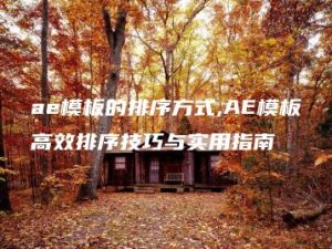 ae模板的排序方式,AE模板高效排序技巧与实用指南 | ae插件合集