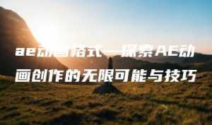 ae动画格式—探索AE动画创作的无限可能与技巧 | ae插件合集