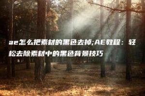 ae怎么把素材的黑色去掉;AE教程：轻松去除素材中的黑色背景技巧 | ae插件合集