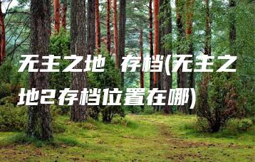 无主之地 存档(无主之地2存档位置在哪) | ae插件合集