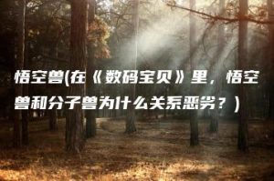 悟空兽(在《数码宝贝》里，悟空兽和分子兽为什么关系恶劣？) | ae插件合集