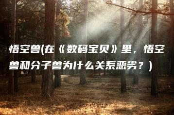 悟空兽(在《数码宝贝》里，悟空兽和分子兽为什么关系恶劣？) | ae插件合集