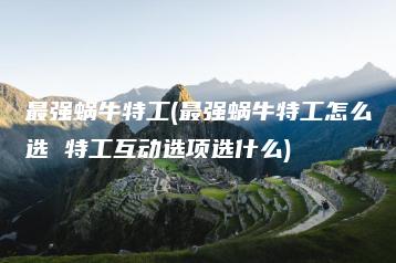 最强蜗牛特工(最强蜗牛特工怎么选 特工互动选项选什么) | ae插件合集