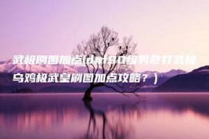 武极刷图加点(dnf90级男散打武极乌鸡极武皇刷图加点攻略？) | ae插件合集