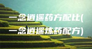 一念逍遥药方配比(一念逍遥炼药配方) | ae插件合集