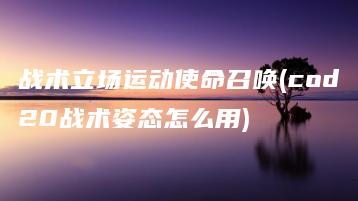 战术立场运动使命召唤(cod20战术姿态怎么用) | ae插件合集