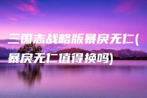 三国志战略版暴戾无仁(暴戾无仁值得换吗) | ae插件合集