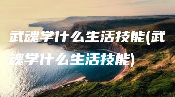 武魂学什么生活技能(武魂学什么生活技能) | ae插件合集