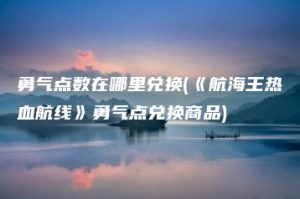 勇气点数在哪里兑换(《航海王热血航线》勇气点兑换商品) | ae插件合集