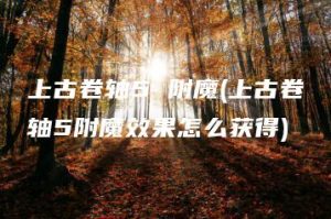 上古卷轴5 附魔(上古卷轴5附魔效果怎么获得) | ae插件合集