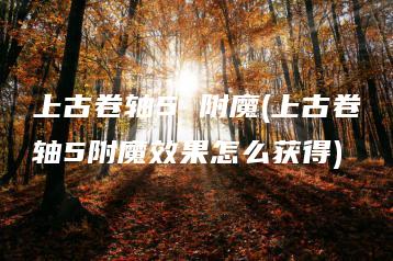 上古卷轴5 附魔(上古卷轴5附魔效果怎么获得) | ae插件合集