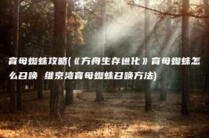育母蜘蛛攻略(《方舟生存进化》育母蜘蛛怎么召唤 维京湾育母蜘蛛召唤方法) | ae插件合集