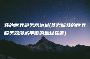 我的世界服务器地址(基岩版我的世界服务器漫威宇宙的地址在哪) | ae插件合集