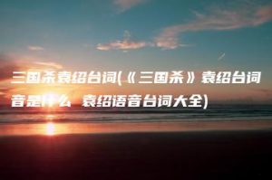 三国杀袁绍台词(《三国杀》袁绍台词音是什么 袁绍语音台词大全) | ae插件合集