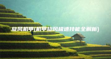 旋风机甲(机甲旋风极速技能全解析) | ae插件合集