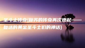 圣斗士传奇(复苏的传奇再次燃起——复活的黄金圣斗士们的神话) | ae插件合集