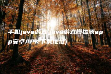 手机java游戏(java游戏模拟器app安卓APK下载地址) | ae插件合集