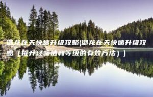 御龙在天快速升级攻略(御龙在天快速升级攻略（提升经验值和等级的有效方法）) | ae插件合集