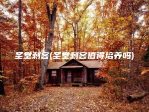 圣堂刺客(圣堂刺客值得培养吗) | ae插件合集