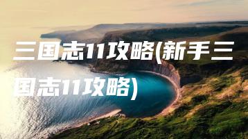 三国志11攻略(新手三国志11攻略) | ae插件合集