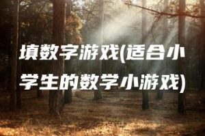 填数字游戏(适合小学生的数学小游戏) | ae插件合集