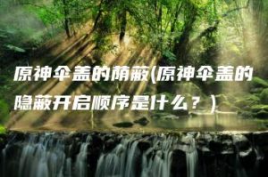 原神伞盖的荫蔽(原神伞盖的隐蔽开启顺序是什么？) | ae插件合集