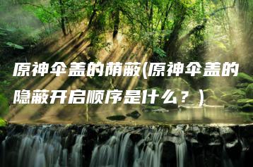 原神伞盖的荫蔽(原神伞盖的隐蔽开启顺序是什么？) | ae插件合集