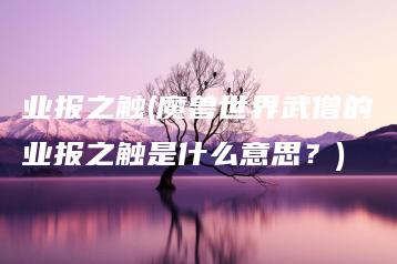 业报之触(魔兽世界武僧的业报之触是什么意思？) | ae插件合集