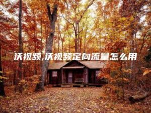 沃视频,沃视频定向流量怎么用 | ae插件合集