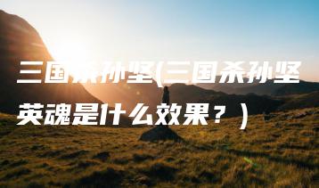 三国杀孙坚(三国杀孙坚英魂是什么效果？) | ae插件合集