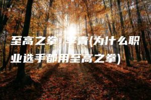 至高之拳 李青(为什么职业选手都用至高之拳) | ae插件合集