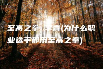 至高之拳 李青(为什么职业选手都用至高之拳) | ae插件合集