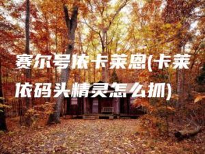 赛尔号依卡莱恩(卡莱依码头精灵怎么抓) | ae插件合集