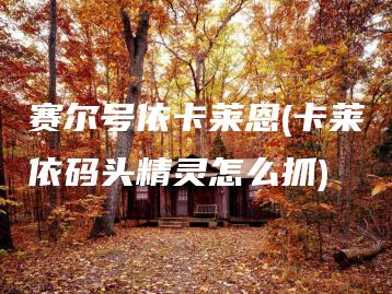 赛尔号依卡莱恩(卡莱依码头精灵怎么抓) | ae插件合集