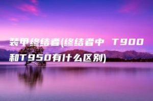 装甲终结者(终结者中 T900和T950有什么区别) | ae插件合集