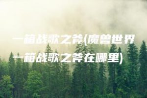 一箱战歌之斧(魔兽世界一箱战歌之斧在哪里) | ae插件合集