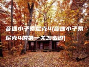 音速小子索尼克4(音速小子索尼克4的第一关怎么过) | ae插件合集