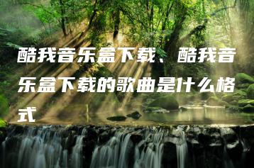 酷我音乐盒下载、酷我音乐盒下载的歌曲是什么格式 | ae插件合集