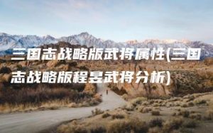 三国志战略版武将属性(三国志战略版程昱武将分析) | ae插件合集